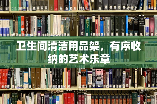 卫生间清洁用品架，有序收纳的艺术乐章