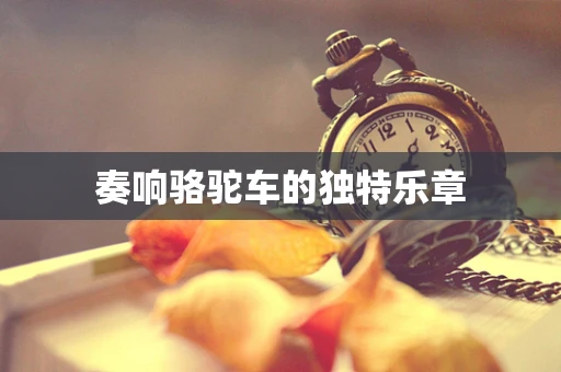 奏响骆驼车的独特乐章