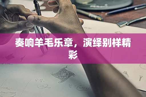 奏响羊毛乐章，演绎别样精彩