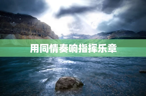 用同情奏响指挥乐章