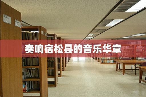 奏响宿松县的音乐华章