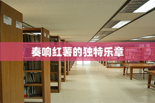 奏响红薯的独特乐章