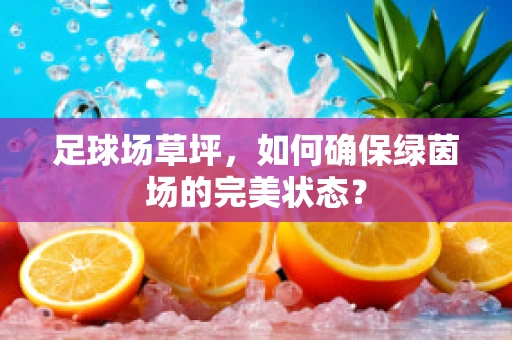 足球场草坪，如何确保绿茵场的完美状态？