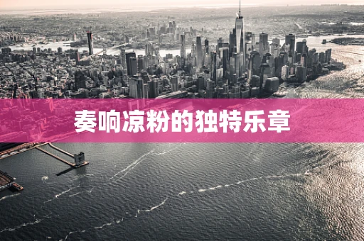 奏响凉粉的独特乐章
