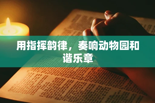 用指挥韵律，奏响动物园和谐乐章