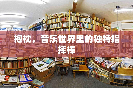 抱枕，音乐世界里的独特指挥棒