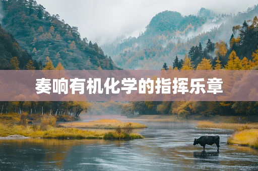 奏响有机化学的指挥乐章