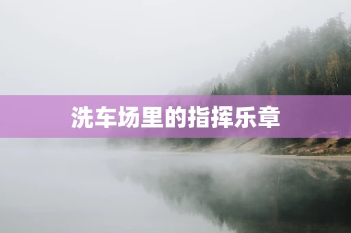 洗车场里的指挥乐章