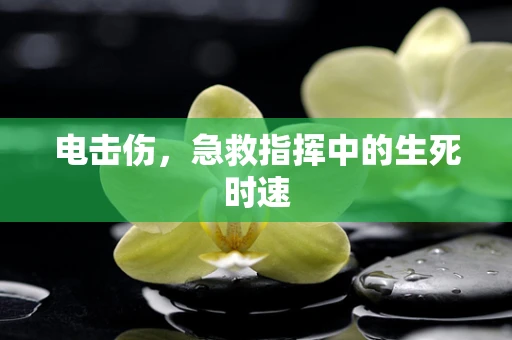 电击伤，急救指挥中的生死时速
