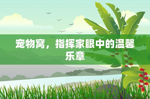 宠物窝，指挥家眼中的温馨乐章