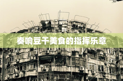 奏响豆干美食的指挥乐章