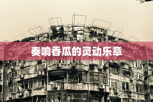 奏响香瓜的灵动乐章