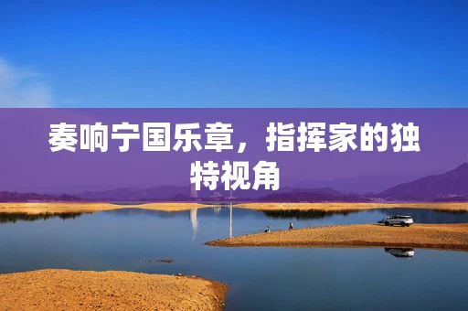 奏响宁国乐章，指挥家的独特视角