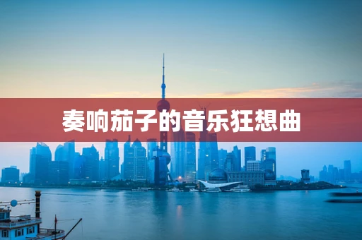 奏响茄子的音乐狂想曲