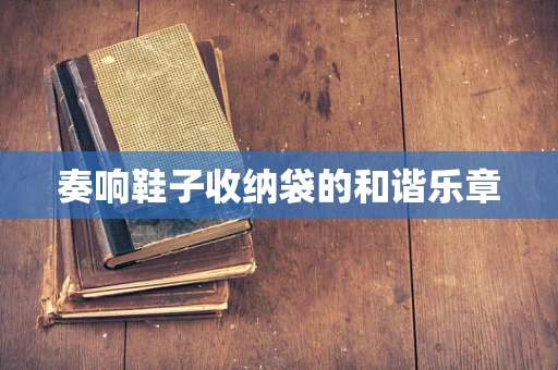 奏响鞋子收纳袋的和谐乐章