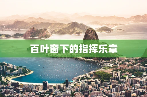 百叶窗下的指挥乐章