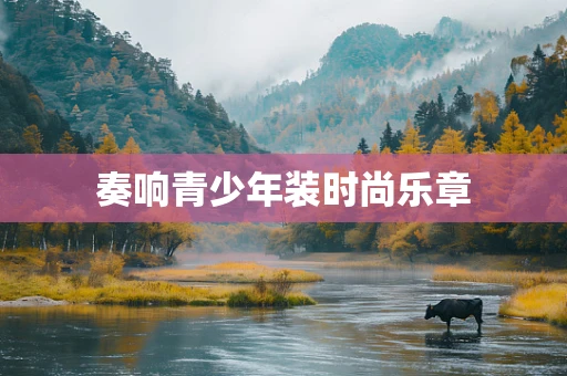 奏响青少年装时尚乐章