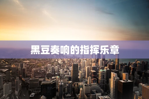 黑豆奏响的指挥乐章