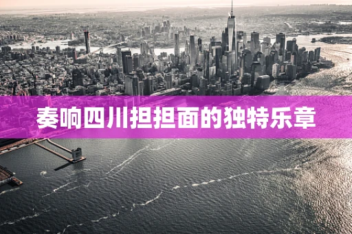奏响四川担担面的独特乐章