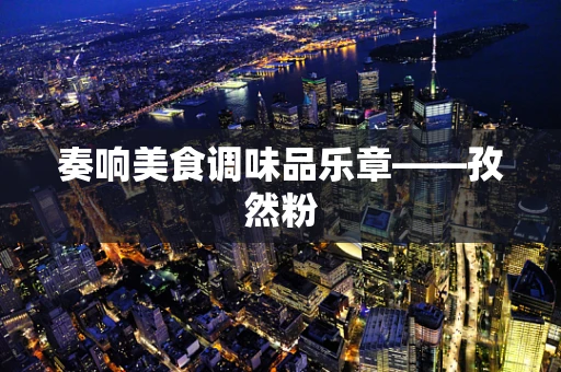 奏响美食调味品乐章——孜然粉