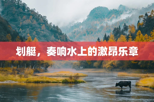 划艇，奏响水上的激昂乐章