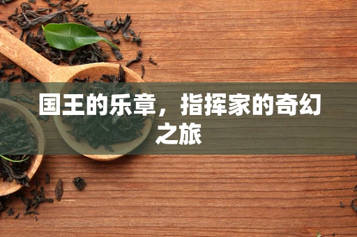 国王的乐章，指挥家的奇幻之旅