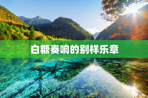 白糖奏响的别样乐章