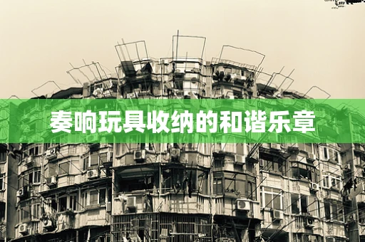 奏响玩具收纳的和谐乐章