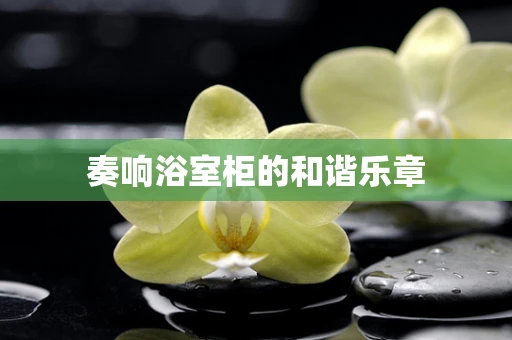 奏响浴室柜的和谐乐章