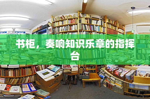 书柜，奏响知识乐章的指挥台
