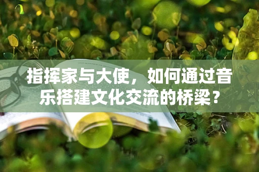 指挥家与大使，如何通过音乐搭建文化交流的桥梁？