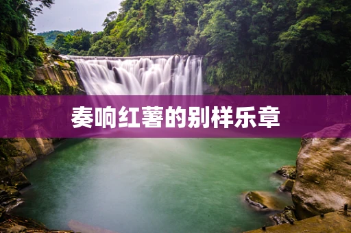 奏响红薯的别样乐章