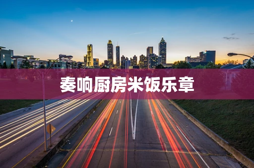 奏响厨房米饭乐章