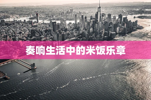 奏响生活中的米饭乐章