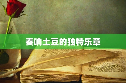 奏响土豆的独特乐章
