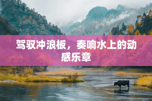 驾驭冲浪板，奏响水上的动感乐章