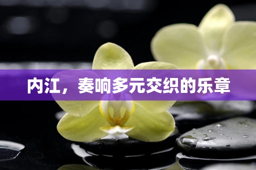 内江，奏响多元交织的乐章