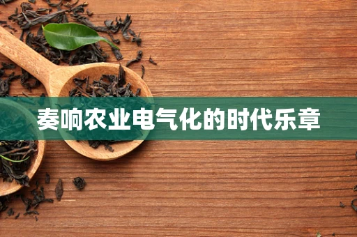 奏响农业电气化的时代乐章