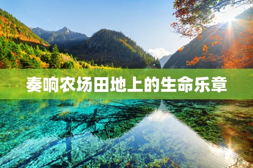 奏响农场田地上的生命乐章