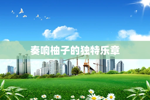 奏响柚子的独特乐章