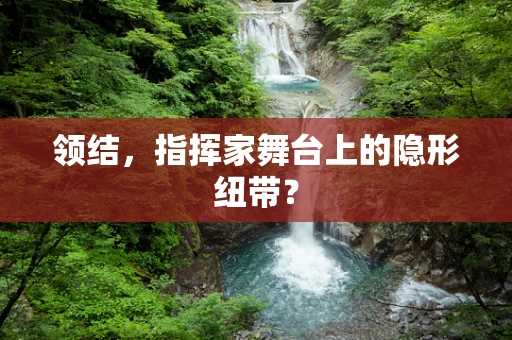 领结，指挥家舞台上的隐形纽带？