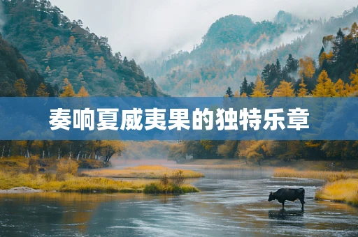 奏响夏威夷果的独特乐章