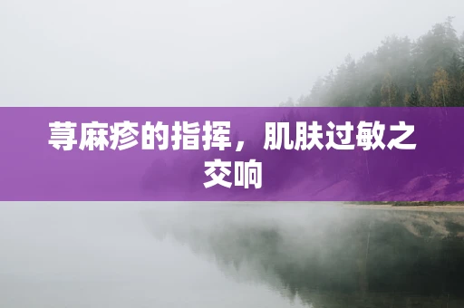 荨麻疹的指挥，肌肤过敏之交响