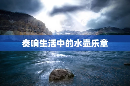 奏响生活中的水壶乐章