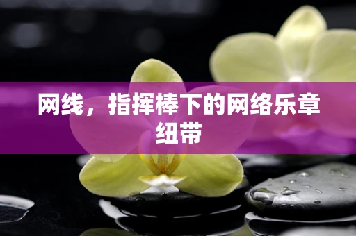 网线，指挥棒下的网络乐章纽带