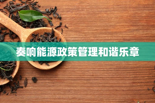 奏响能源政策管理和谐乐章