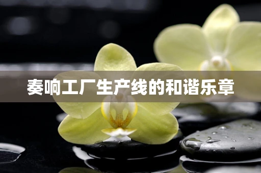 奏响工厂生产线的和谐乐章