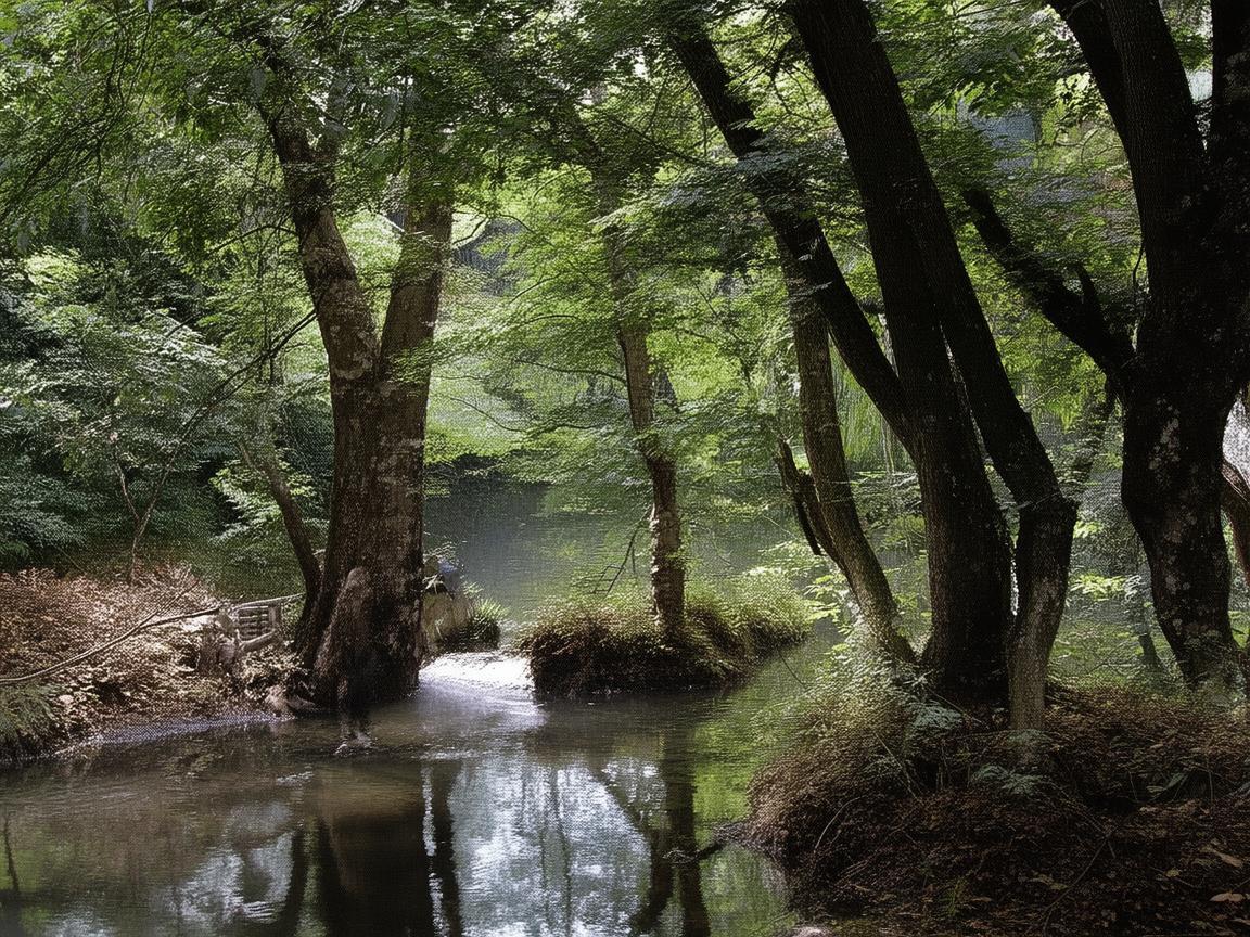 驾驭冲浪板，奏响水上的动感乐章