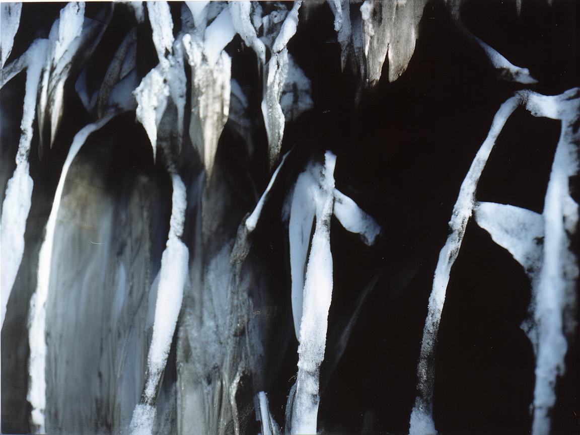 永康，奏响指挥艺术的华章