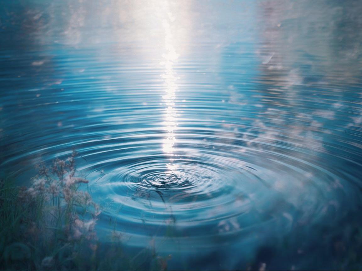 于湖泊湖畔奏响心灵乐章 于湖泊湖畔奏响心灵乐章